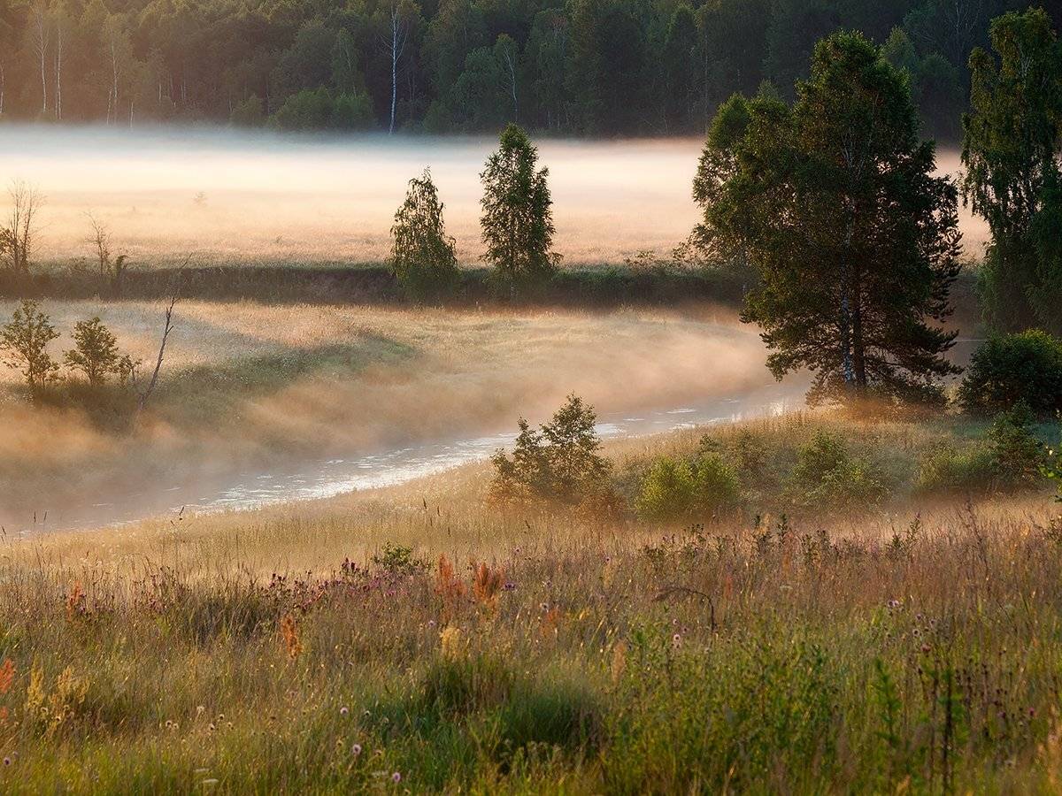 Солнце с молоком. Автор: Владимир Перепечаев , Владимир Перепечаев