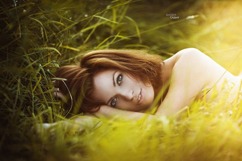 лето летняяphoto preview