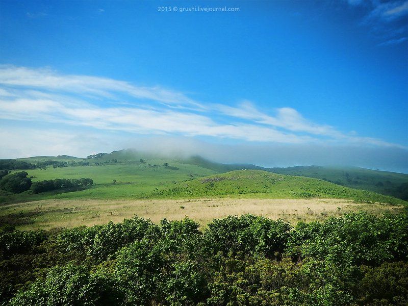 краббе, полуостров краббе, приморье, приморский край, фото полуостров краббе Тропами полуострова Краббе фото превью