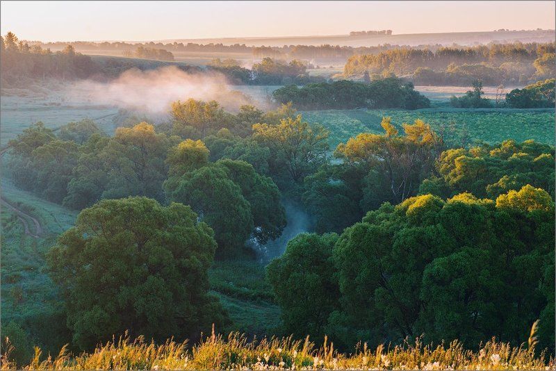 landscape, nature, russia, fog, morning Morningphoto preview