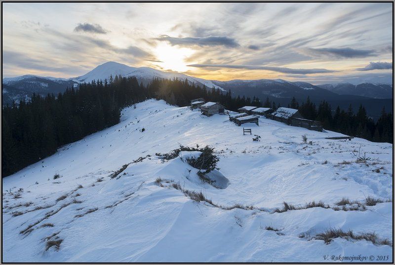 Яркий Петросphoto preview