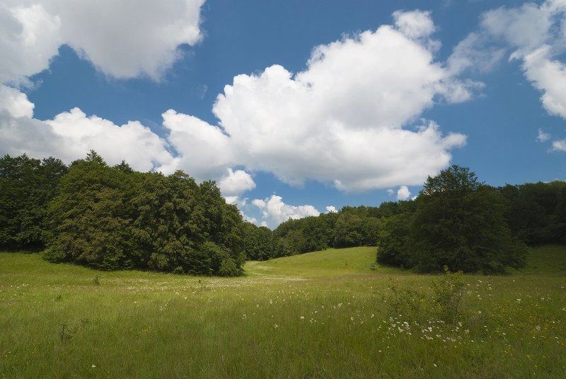 Июль...photo preview