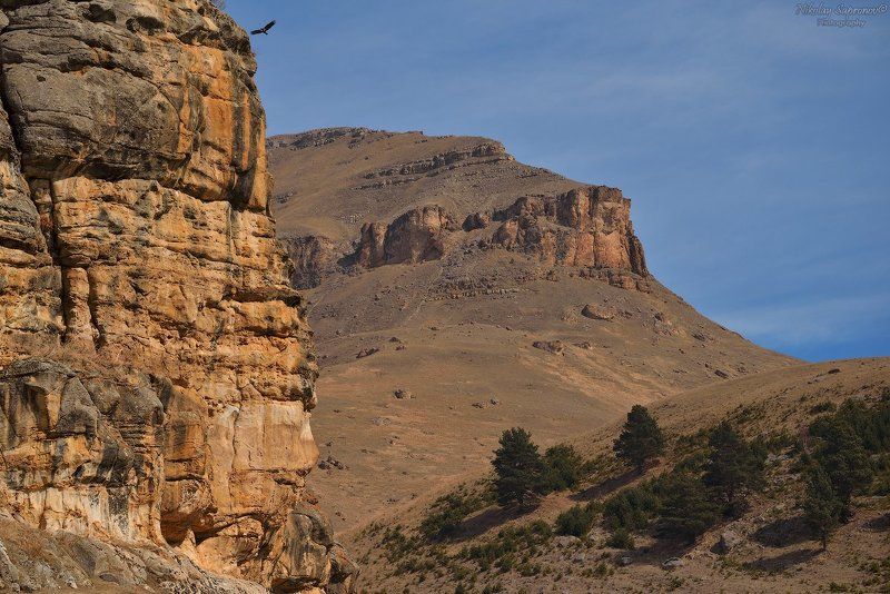 птицы, кавказ, северный кавказ, кчр, россия, ущелье Там, где летают большие птицыphoto preview
