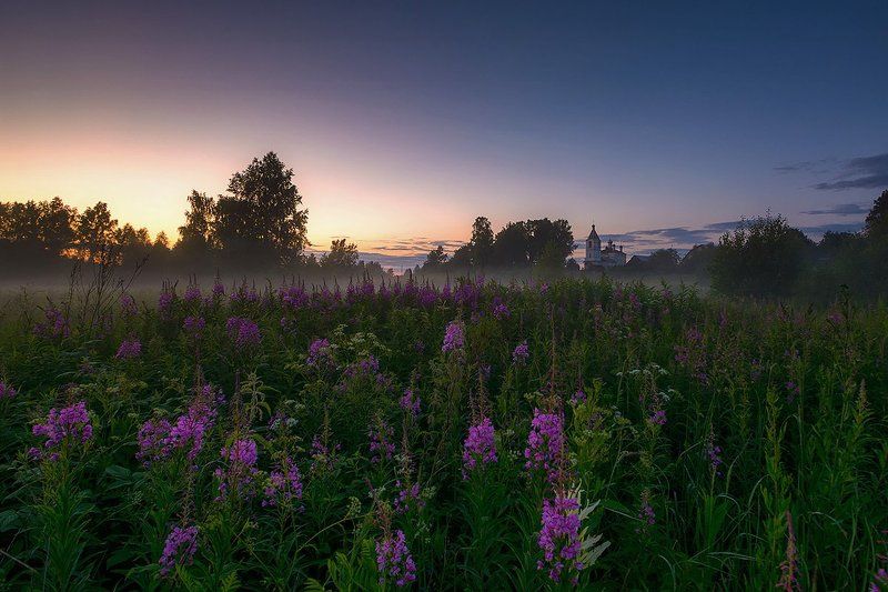 Иван – чайphoto preview