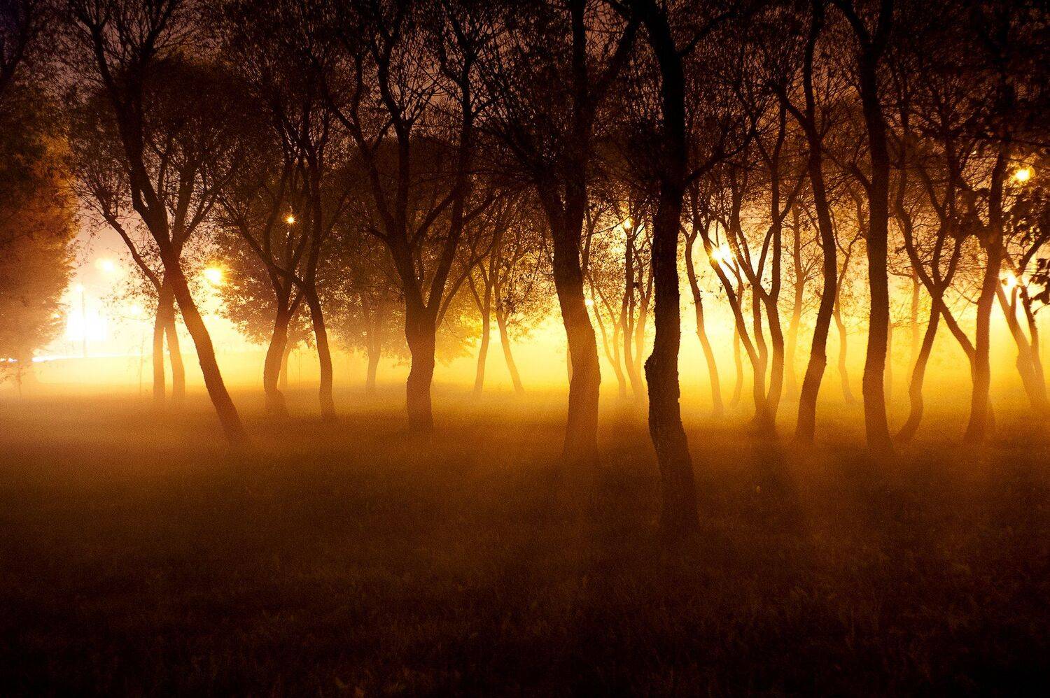 Electric sunset. Автор: Медведев Александр , Медведев Александр