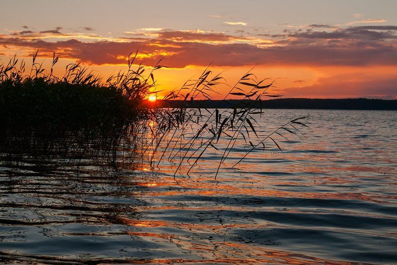 Селигерphoto preview