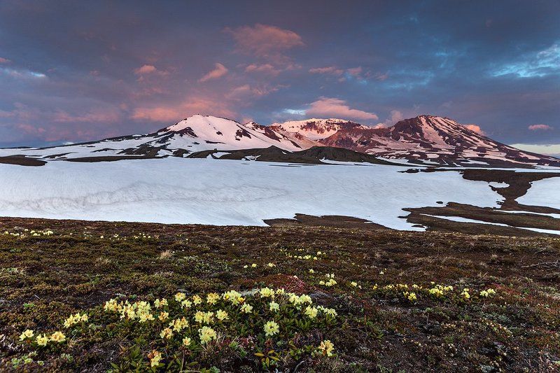 Середина летаphoto preview
