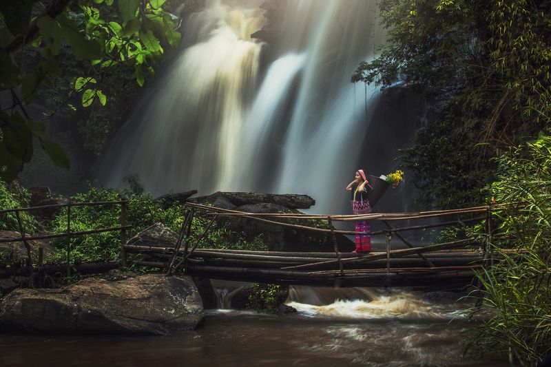chiangmai, river, outdoor, tree, thailand, stone, park, green, travel, flow, scenery, flowing, tourist, heaven, mae, wonderful, wood, forest, fall, relax, conserve, cascade, wild, vacation, wet, ya, natural, vibrant, tropical, spring, rock, leaf, stream,  phadokseaw waterfall in chiangmai thailand.photo preview