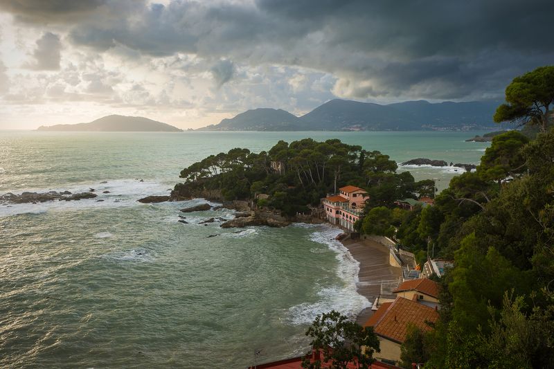 Tellarophoto preview