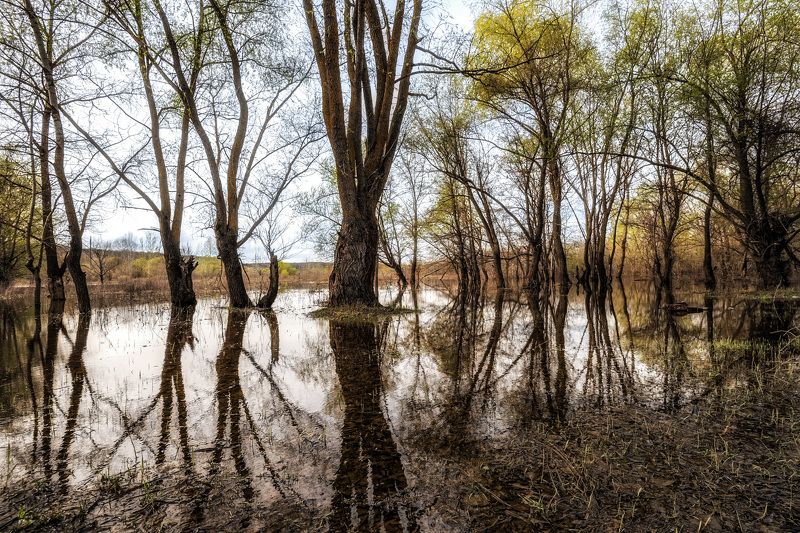 поездка, весна, половодье Половодьеphoto preview