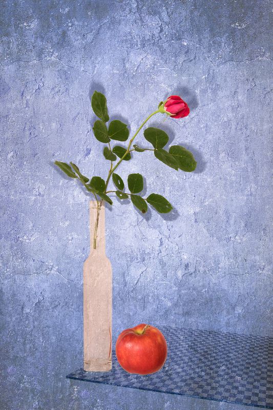 apple, blue, bottle, color, colors, concept, conceptual, photography, red, rose, still life, Apple & Rosephoto preview