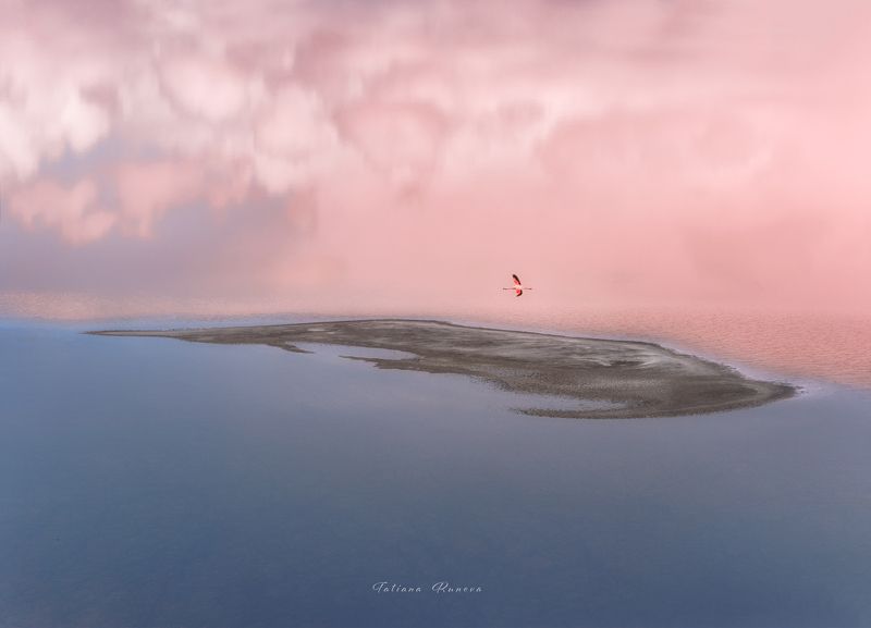 Отраженияphoto preview