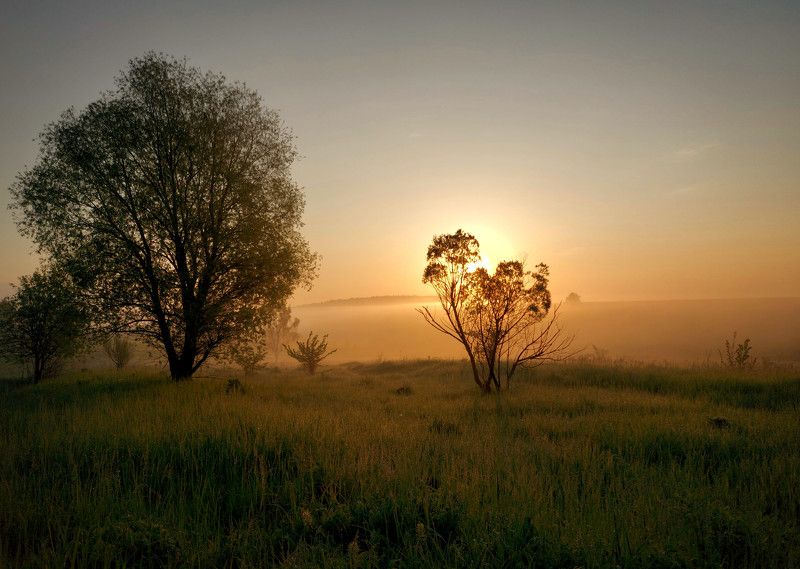 туман, роса, рассвет, утро, весна, солнце Рассвет цвета туман.photo preview