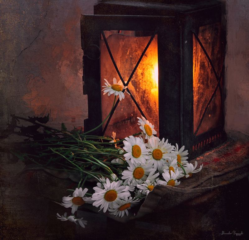 Once...photo preview