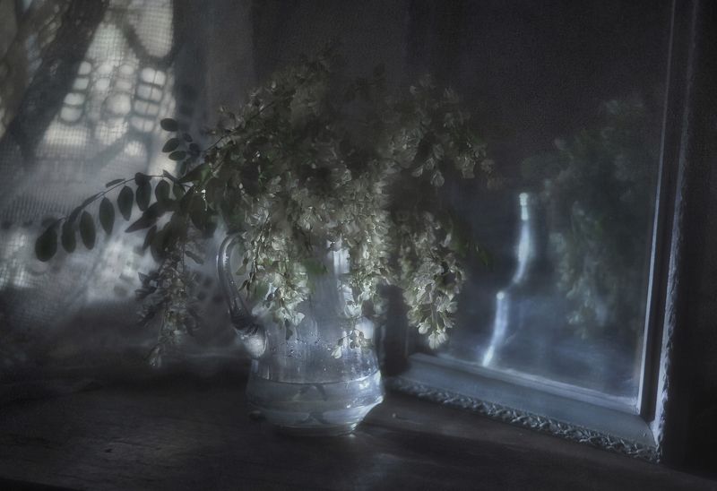 Сладкая ночь уходящего маяphoto preview