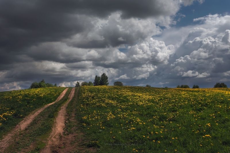 пейзаж, ленобласть, landscape, nature, природа, ленинградская область Перед грозойphoto preview