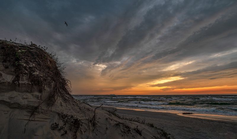 балтика, море, балтийское море, калининградская область Хрупкий берег Балтики фото превью