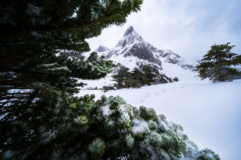 Winterlandphoto preview