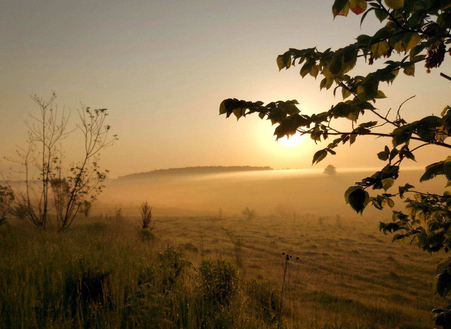 туман, рассвет, весна, солнце, природа, восход, Валерий Савостьянов