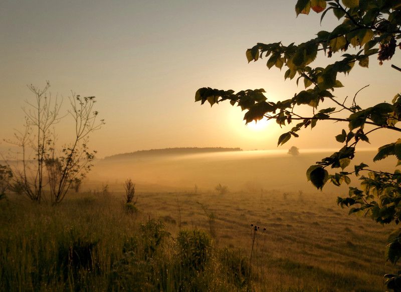 туман, рассвет, весна, солнце, природа, восход Майское утро.photo preview