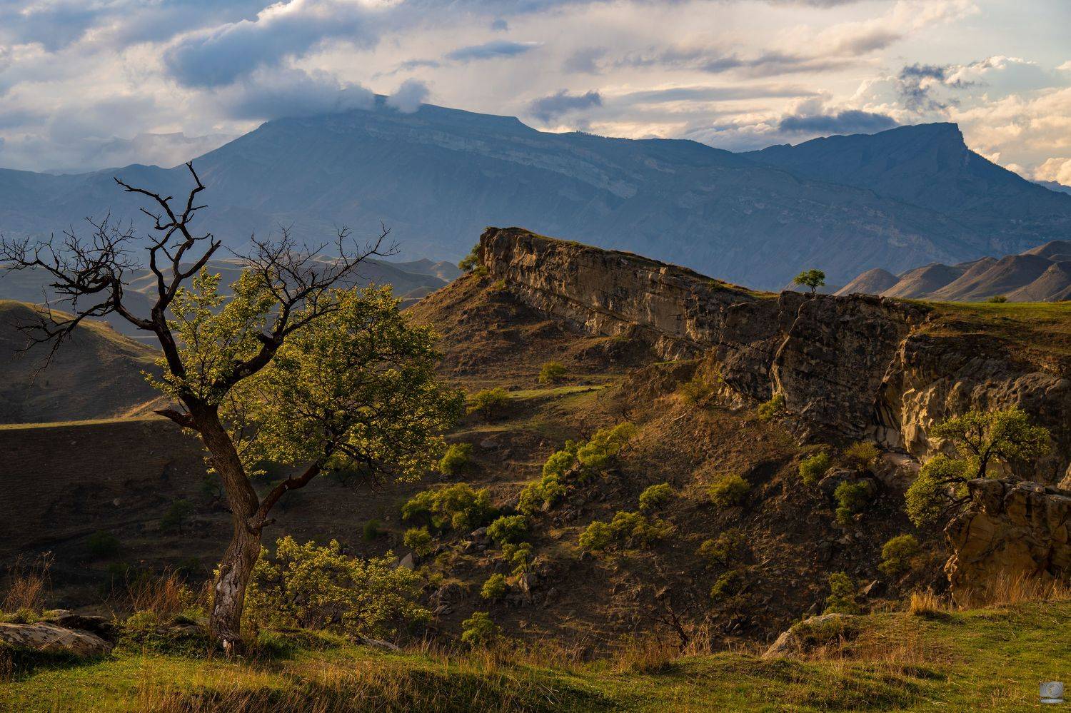 Чох. Автор: Ковалев Дмитрий Дагестан, Ковалев Дмитрий