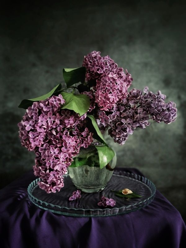 Букет сирени.photo preview