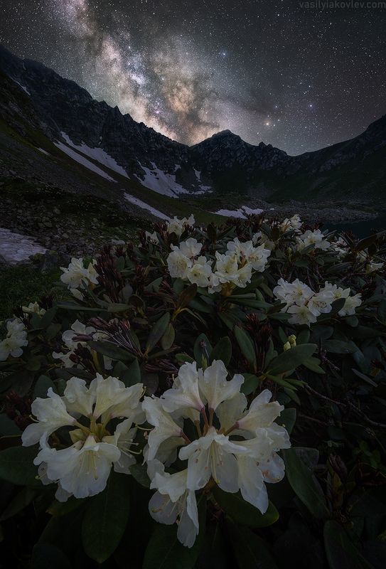 кчр, фототур, яковлевфототур, загеданские, иметеринские, озеро, безмолвия Ночь возле Загеданских озерphoto preview