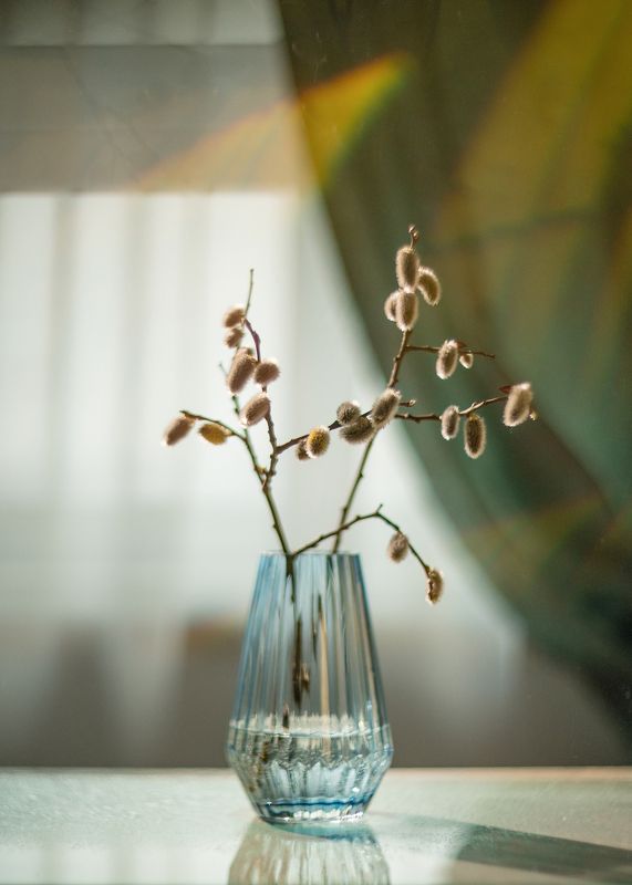 Натюрморт верба  Вербаphoto preview