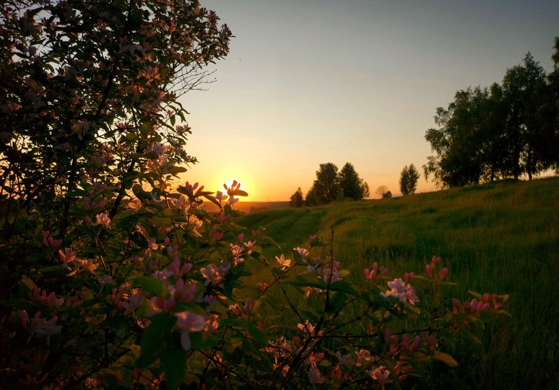 деревня, природа, закат, май, весна, пейзаж, небо Деревенский вечер.photo preview