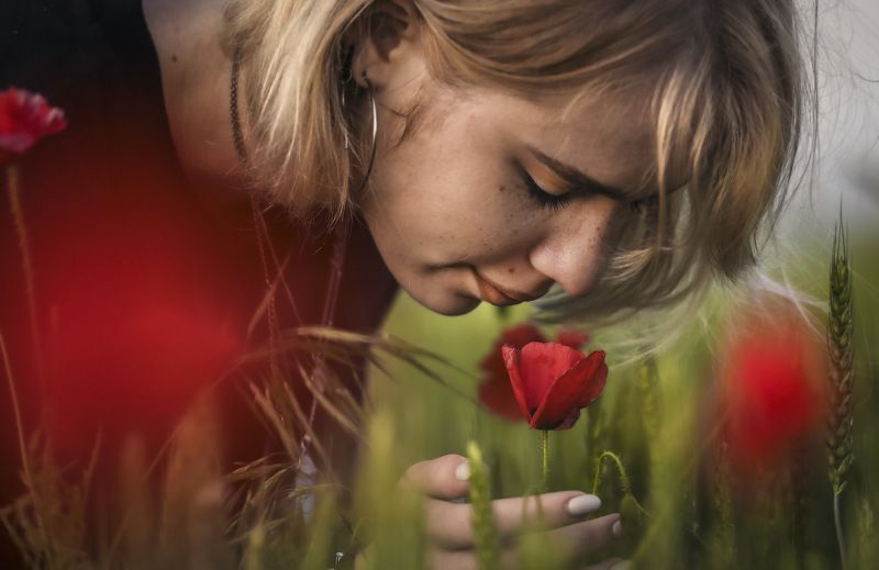 маки...photo preview