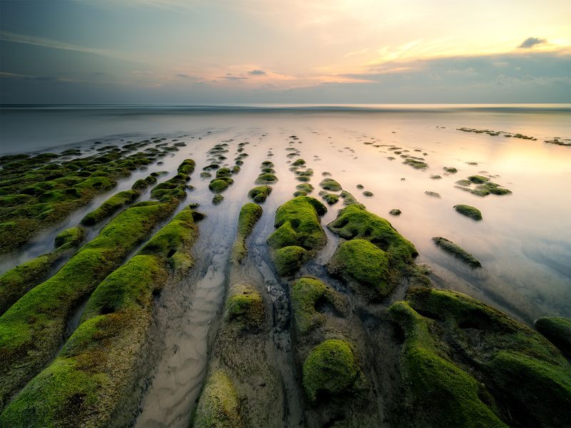 Green reefphoto preview