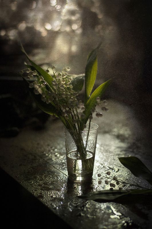 ландыши Послевкусие майской грозыphoto preview