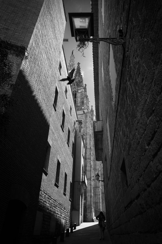 Пролетая над...photo preview