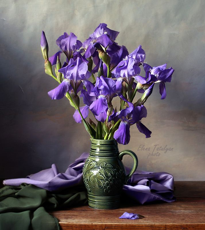 ирисы цветы Ирисыphoto preview
