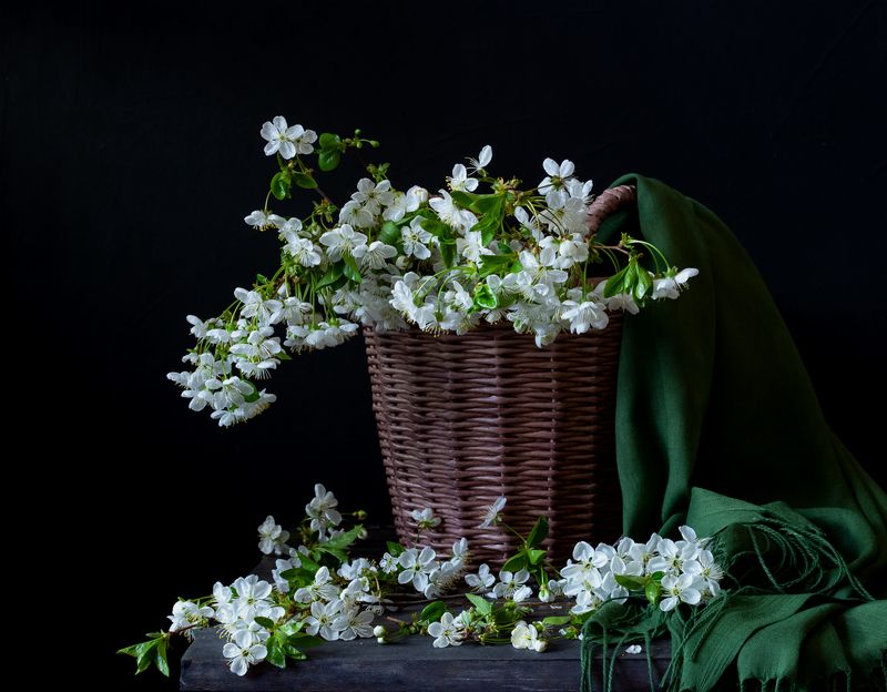 натюрморт, цветы, вишня Весна в корзинеphoto preview