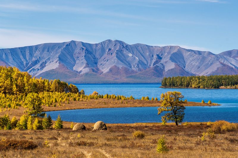 монголия, хубсугул, осень Осенний Хубсугул фото превью