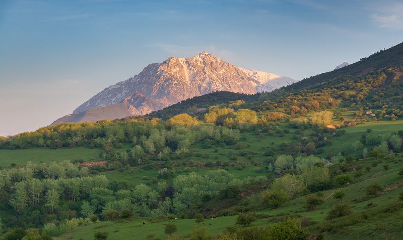 узбекистан, uzbekistan photo preview