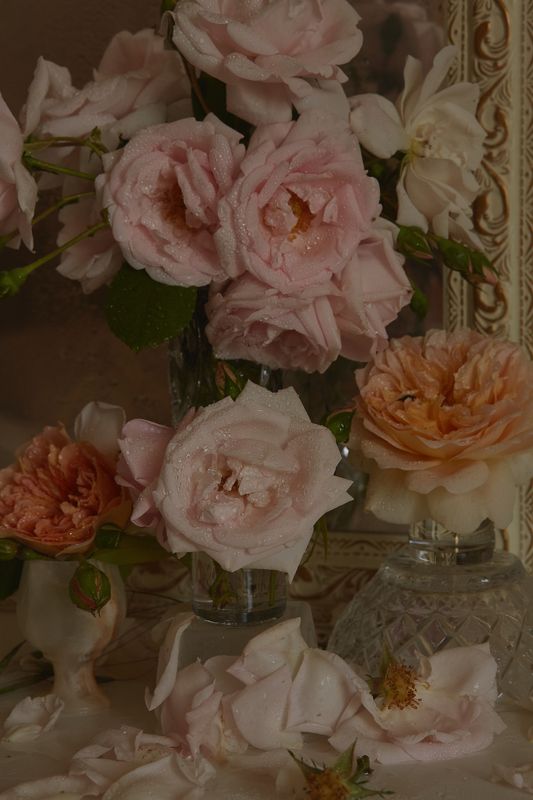 розы lovephoto preview