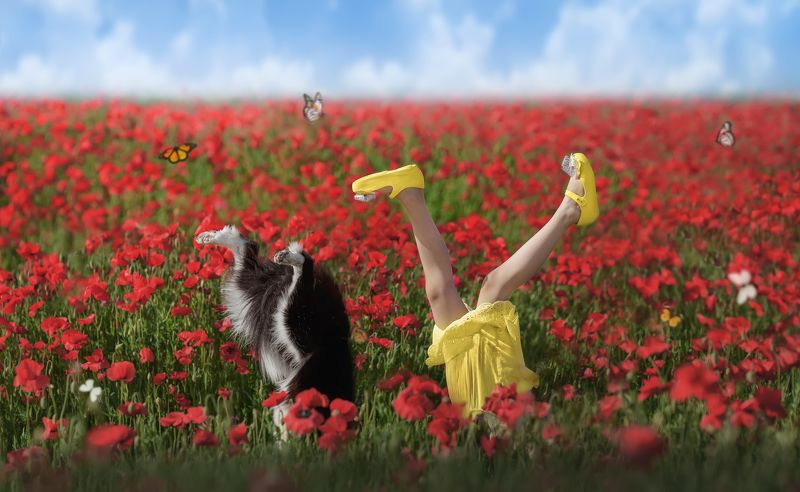 宠物 狗 创意 人宠  特立独行photo preview