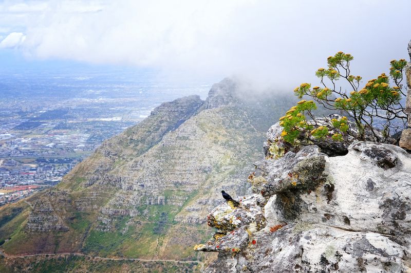 Idillic фото превью