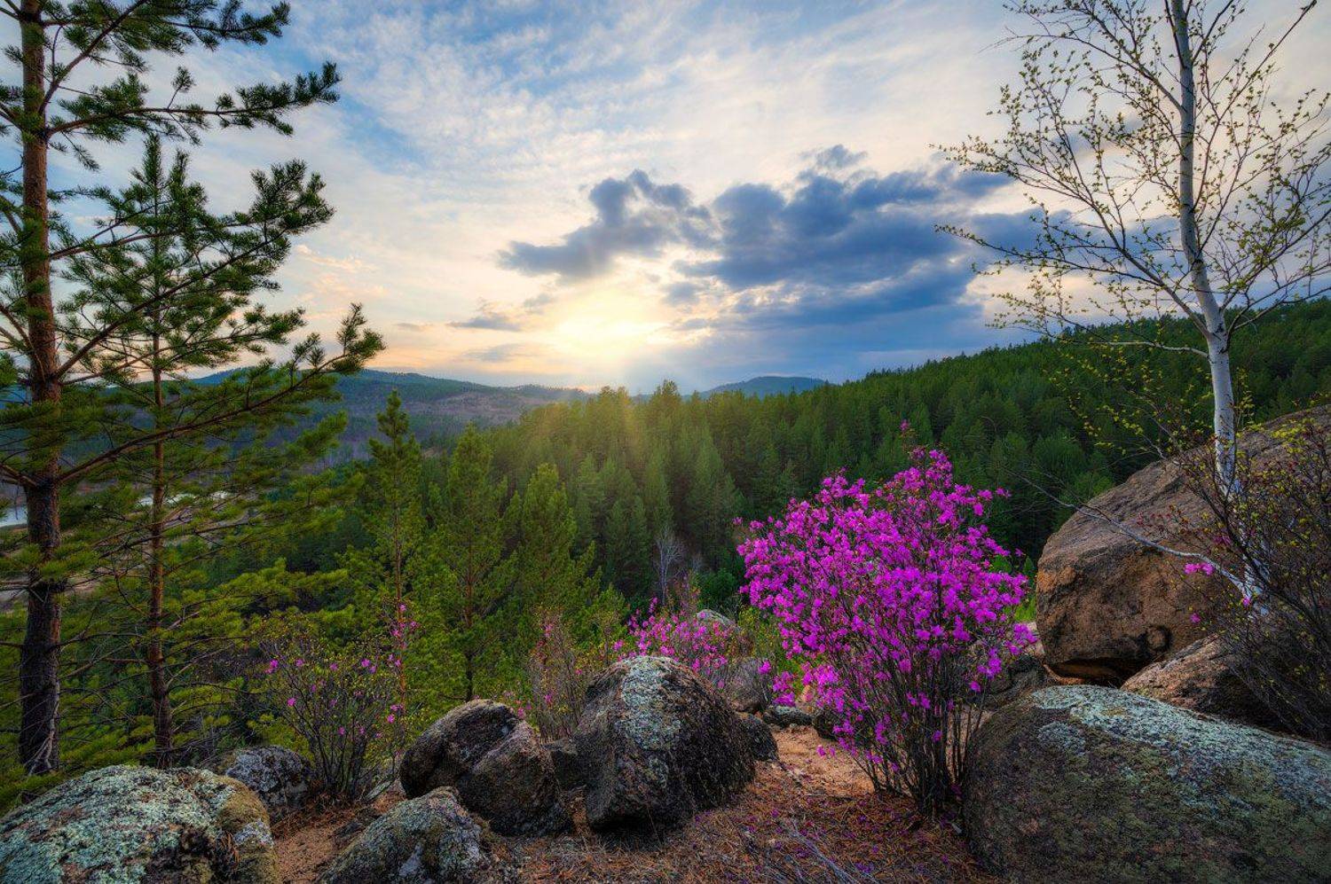 , Сергей Брагин