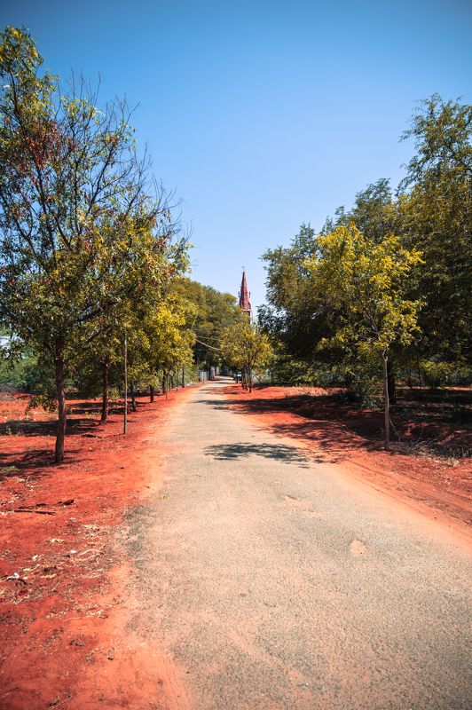 church,tree,road,village,rural,peace.holy,india,tamil,old,sky,clear,summer,sun,bright,shine,blue,red.sand Road to churchphoto preview