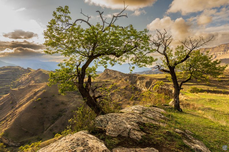Дагестан близ аула Чох фото превью