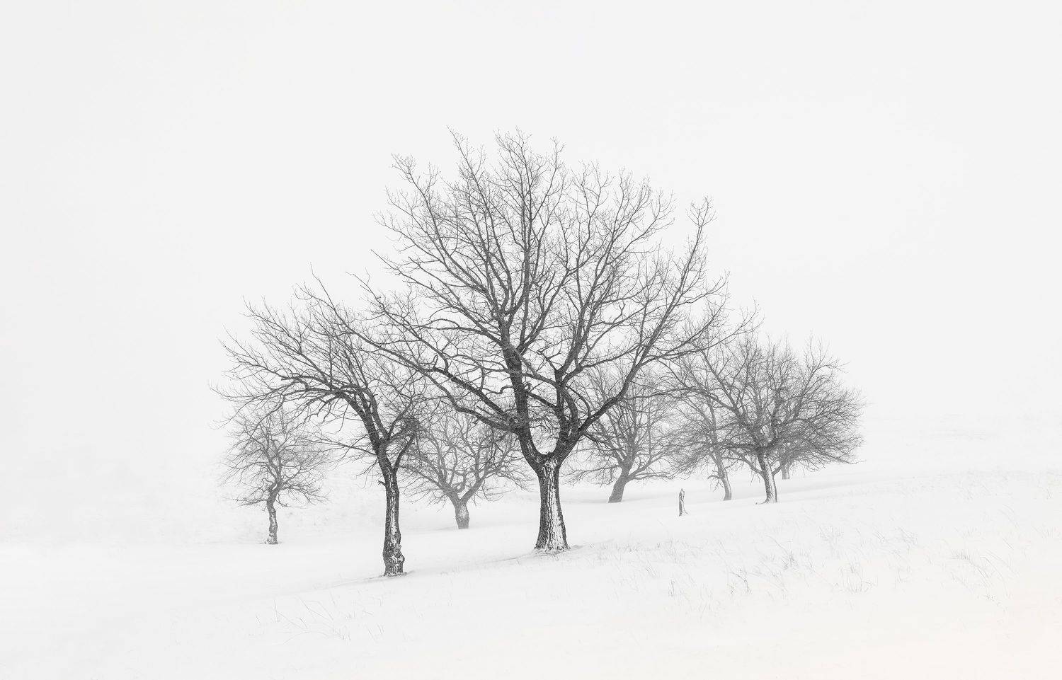 , Татьяна Бирюкова