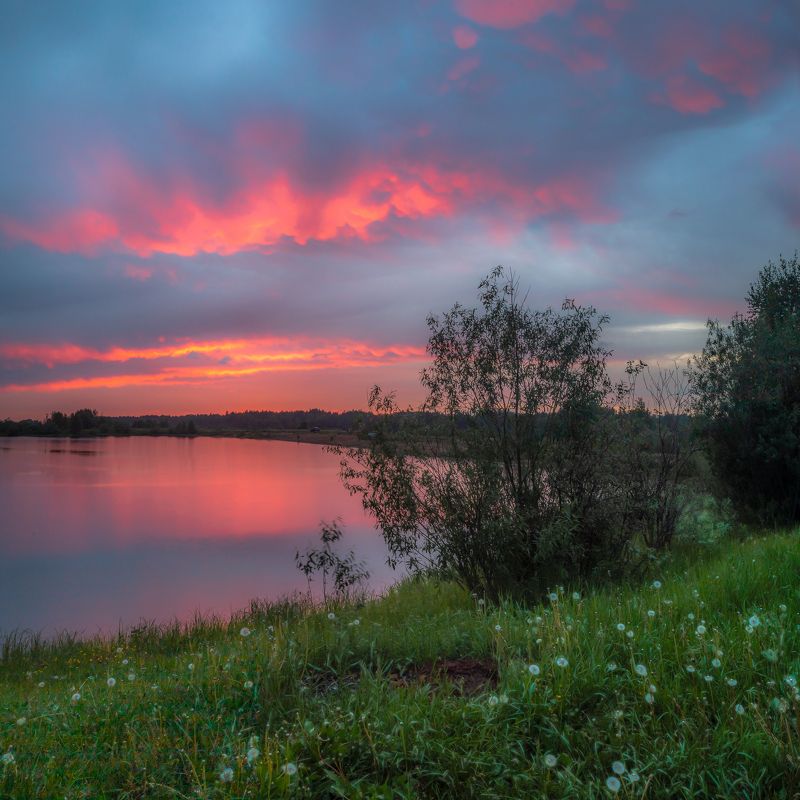 вечер, тепло, водоем, вода, озеро, пруд, трава, поле, пляж, берег, лето, закат, тучи, солнце, облака, дождь, куст, цветы, отражения, горизонт Вечерphoto preview