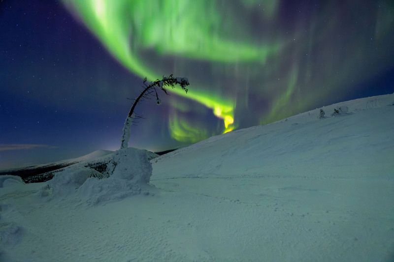 AuroraBorealis KandalakshaAuroaphoto preview