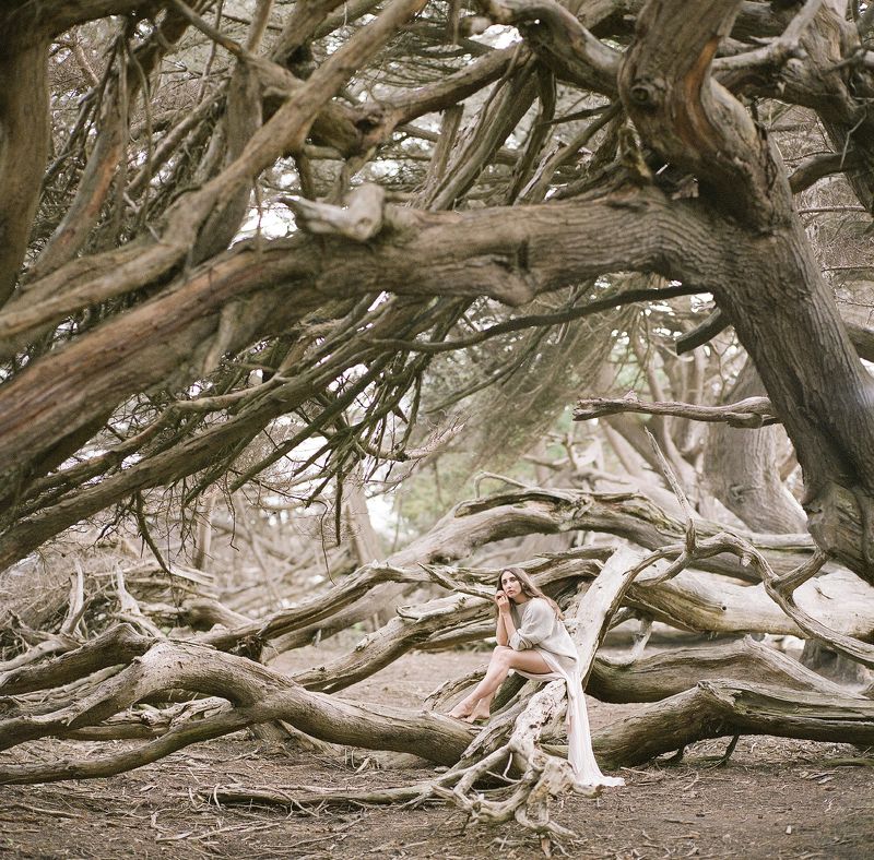 portrait, analogue, film, richardphotolab, fashion, minimal, hasselblad, fuji400h, square, grain Emma in 6x6photo preview