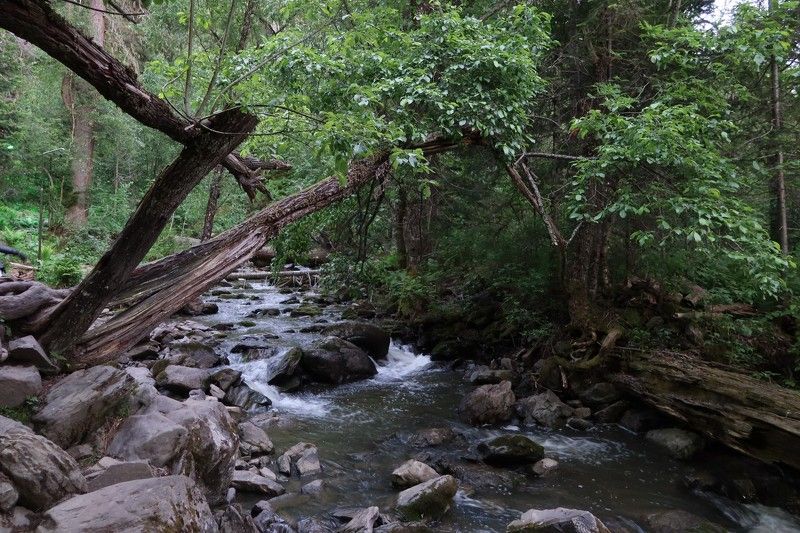 природа,ручей,алтай.вечер Ручеёкphoto preview