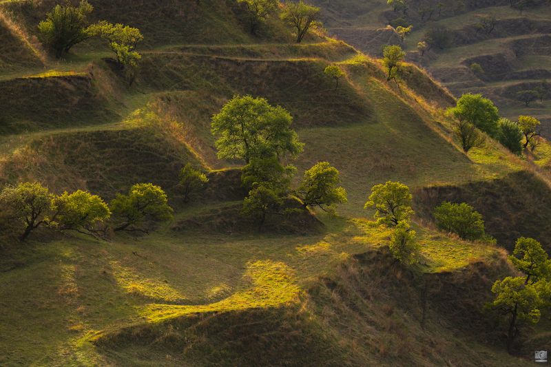 Дагестан Террасы Чоха фото превью