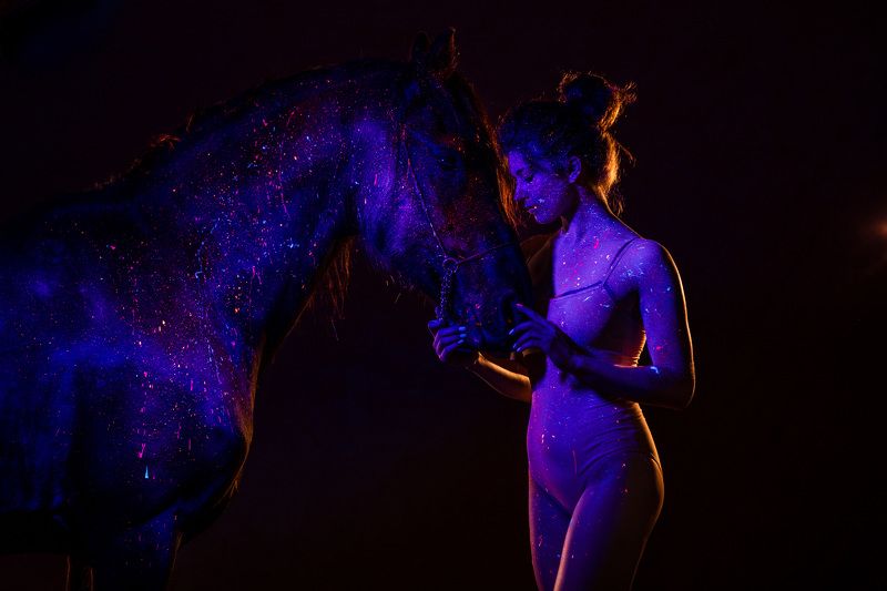 horse, equestrian, лошадь, девушка, girl photo preview